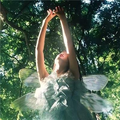 鹡鸰女神第一季